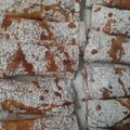 El cooksnap de D-ssert cuando hizo Pie de manzana frito (en masa wantán).