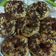 Cooksnap dari Miera Pratiwi untuk resep Donat Empuk Simple