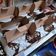 Cooksnap dari Nia untuk resep Fudgy Shiny Crust Brownies