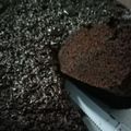 Cooksnap dari Oktavia Rezky untuk resep Brownies kukus