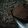 Cooksnap dari Oktavia Rezky untuk resep Brownies kukus