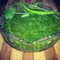 Sehrish Siddiq's cooksnap of when they made Green chutney.