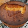 Cooksnap de Ana Antunes quando cozinhou Bolo de Laranja inteira.