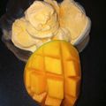 Jayshree Doshi's cooksnap of when they made લો ફેટ મૅનગો આઇસ ક્રીમ(low fat mango ice cream recipe in gujarati).