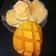 Jayshree Doshi's cooksnap of when they made લો ફેટ મૅનગો આઇસ ક્રીમ(low fat mango ice cream recipe in gujarati).