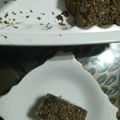 Cooksnap dari cutfarah14 untuk resep Brownies Original Pudding