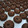 Cooksnap dari Yusnita _Cecha untuk resep Semprit Cokelat NCC