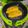 El cooksnap de Victor cuando hizo Cachopos de pollo en airFryer.