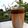 Cooksnap dari Vina Wulandari untuk resep Dalgona coffee