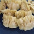 Cooksnap dari Agita Anugrahayu untuk resep Gyoza Ayam 🥟🥢