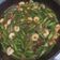 Cooksnap dari dian Purnamasari untuk resep Udang Buncis Saus Mentega