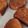 El cooksnap de Yoli Sanchez Salcedo cuando hizo Torrijas de vino dulce y miel.