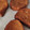 El cooksnap de Yoli Sanchez Salcedo cuando hizo Torrijas de vino dulce y miel.
