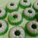Cooksnap dari 🍒Astri Anjar🍍 untuk resep Kue Talam Pandan
