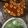 Cooksnap dari Winda Fidiarakhmi untuk resep Steamboat Rumahan Kuah Tomyum