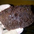 Cooksnap dari Gigi untuk resep Bolu karamel/sarang semut