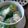 Cooksnap mamy_kitchen89 semasa beliau membuat Sup Petola Isi Ikan.