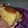 El cooksnap de Pame Araya cuando hizo Pan 🍞 de melón 🍈.
