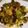 DashaS's cooksnap of when they made Warm Shaved Brussels Sprouts Salad.
