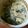 El cooksnap de Diana valentina cuando hizo Espinacas gratinadas (vegetarianas).