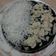 Cooksnap dari Dapur Mommy Danish untuk resep Blackforest Kukus Base Tart