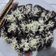 Cooksnap dari Nurmila Ima untuk resep Brownies chocolatos kukus