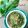 Cooksnap Sesimple Loralin semasa beliau membuat Kerabu daun kaduk.