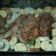 El cooksnap de Gustavo Giles Caggiano cuando hizo Estofado de verduras al vino blanco con churrascos a la plancha.