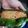 Cooksnap dari Maudy Lynn untuk resep Nasi Bakar Jamur Teri Kemangi