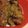 SHYAMALI MUKHERJEE's cooksnap of when they made চিকেন কষা (chicken kosha recipe in Bengali).
