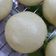 Cooksnap của Hien Thanh khi họ làm theo món Bánh bao thịt trứng cút