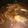 El cooksnap de sukei cuando hizo Pollo En Salsa De chile Pasilla.