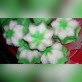Cooksnap dari Ratih untuk resep Putu Ayu Enak