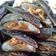 Cooksnap dari olin rizqi untuk resep Kerang ijo saus padang