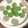 Cooksnap dari Gresiania Ritonga untuk resep Kue Talam PandanTepung Beras