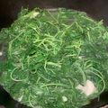 謝寶雲 的 蒜炒莧菜 cooksnap