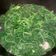 謝寶雲 的 蒜炒莧菜 cooksnap