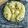 Cooksnap dari Corrie Permadi untuk resep Wool Roll Bread