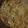 El cooksnap de Soñadora Arevalo cuando hizo Chicharrón en salsa verde. ॐ.