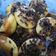 Cooksnap dari Ummu Husein untuk resep Pukis Mini