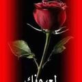 صورة من Chefooo، شاركها بعد تجربة وصفة معكرونه بصدور الدجاج 😋