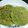 Jasmin Motta _ #BeingMotta's cooksnap of when they made Hariyala laccha paratha (layered green flat bread).