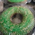 Cooksnap dari yuli konsel untuk resep BOLU PANDAN SUPER LEMBUT / MOIST