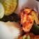Cooksnap dari Miss_M untuk resep Ayam Goreng Lengkuas