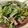 wingmaster835's cooksnap of when they made Brad's Vietnamese pho.
