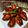 Cooksnap dari Titik yuniarti untuk resep Baked Chicken Wings
