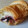 El cooksnap de Paula Hinke Nutrición cuando hizo Croasanes de JamónCocido/Chopped y Queso al horno!!🥐.