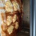 El cooksnap de Maria Mesa cuando hizo Galletas de plátano-avena-pistacho.