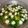 Cooksnap shazrina semasa beliau membuat Sup sawi jepun campur telur.