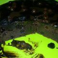 Cooksnap dari Euis Nurlaela untuk resep Cake Coklat (No Telur & No Mixer)